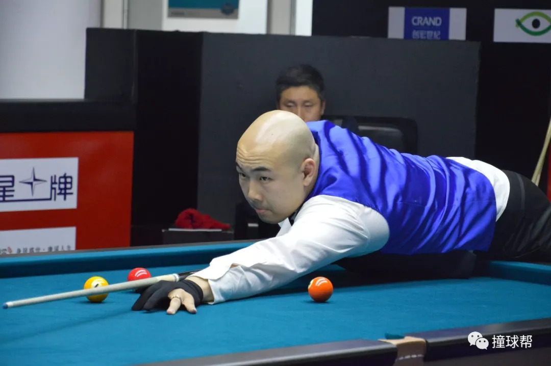 加鲜活的案 加鲜活的案